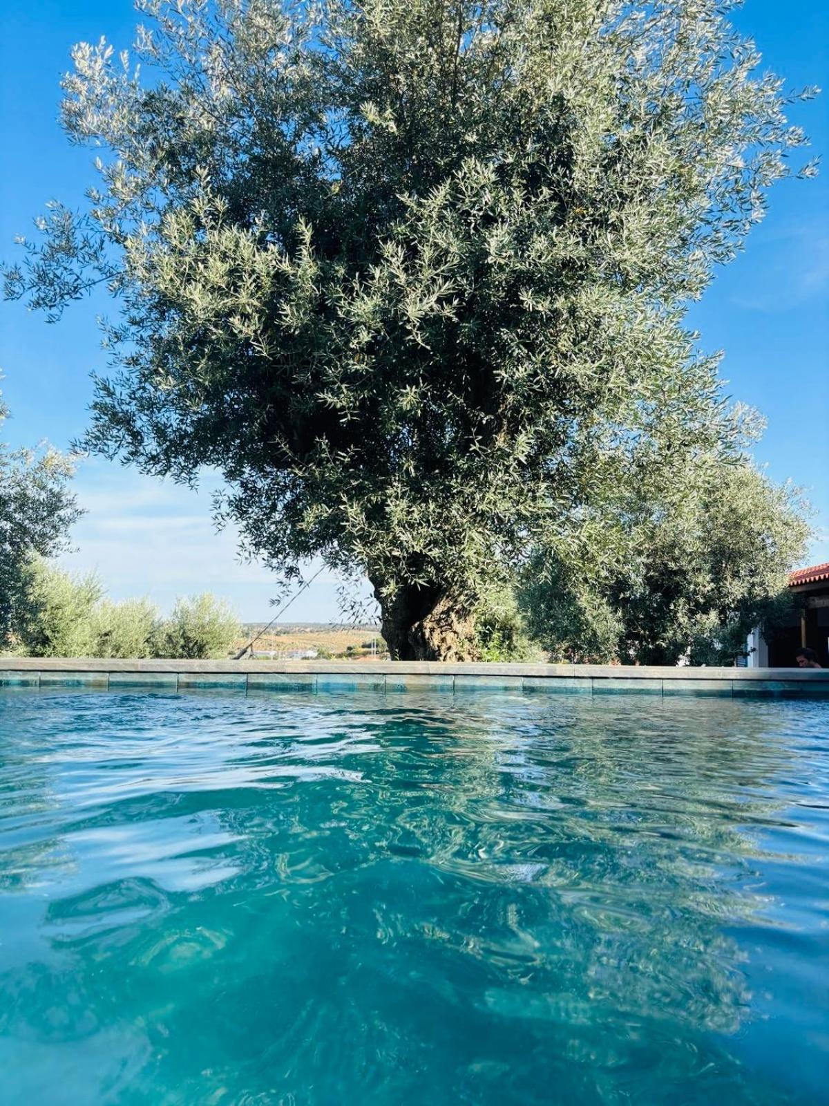 Montado Village Holiday home *